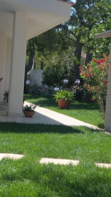 Villa A Marina Di オストゥーニ エクステリア 写真