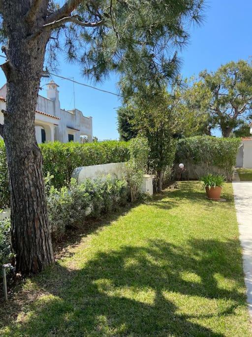 Villa A Marina Di オストゥーニ エクステリア 写真